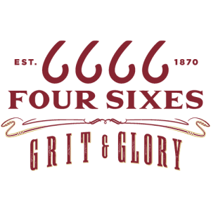 6666 logo