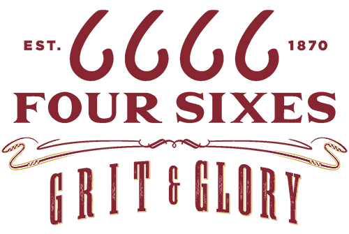 6666 logo