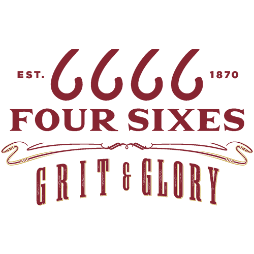 6666 logo