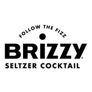 brizzy logo